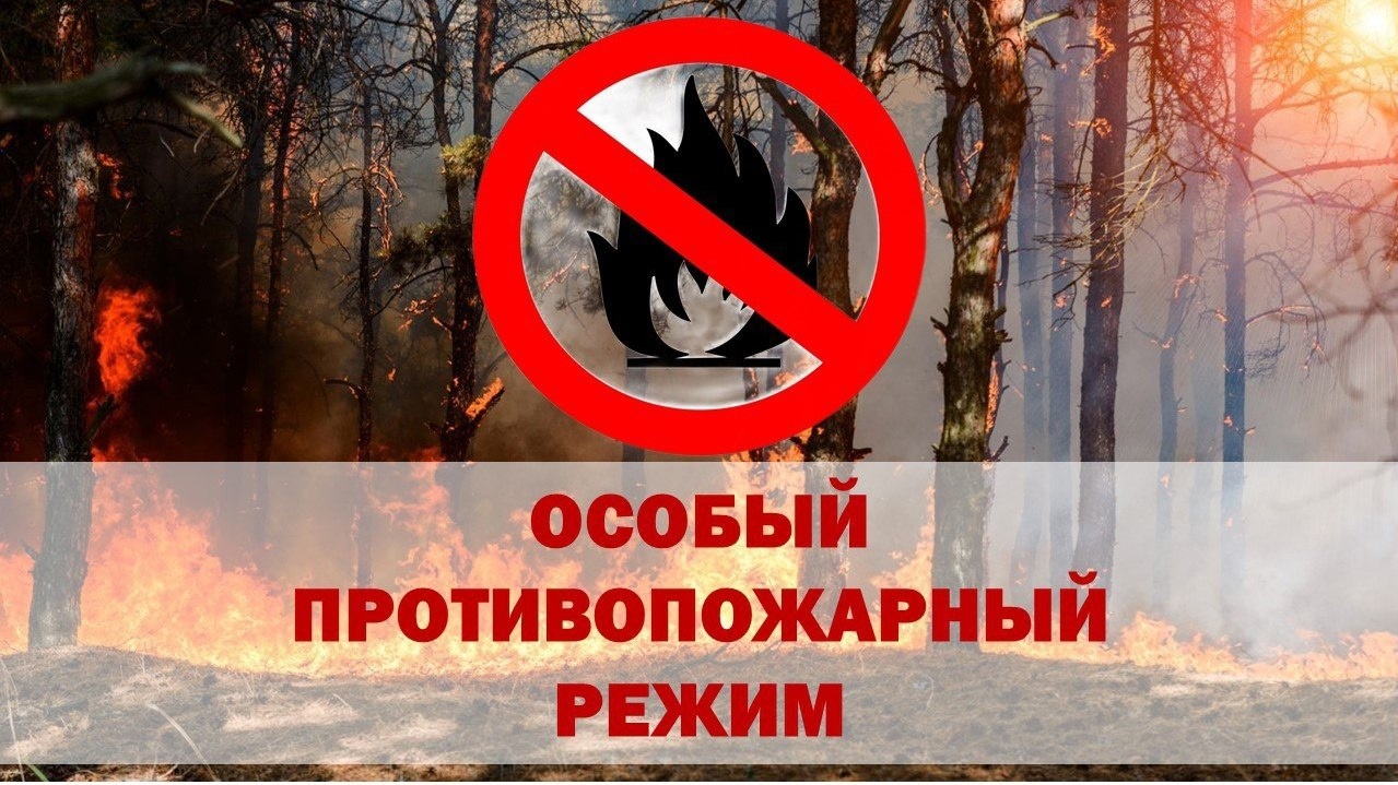 Особый противопожарный период в Воронежской области!!!!!.