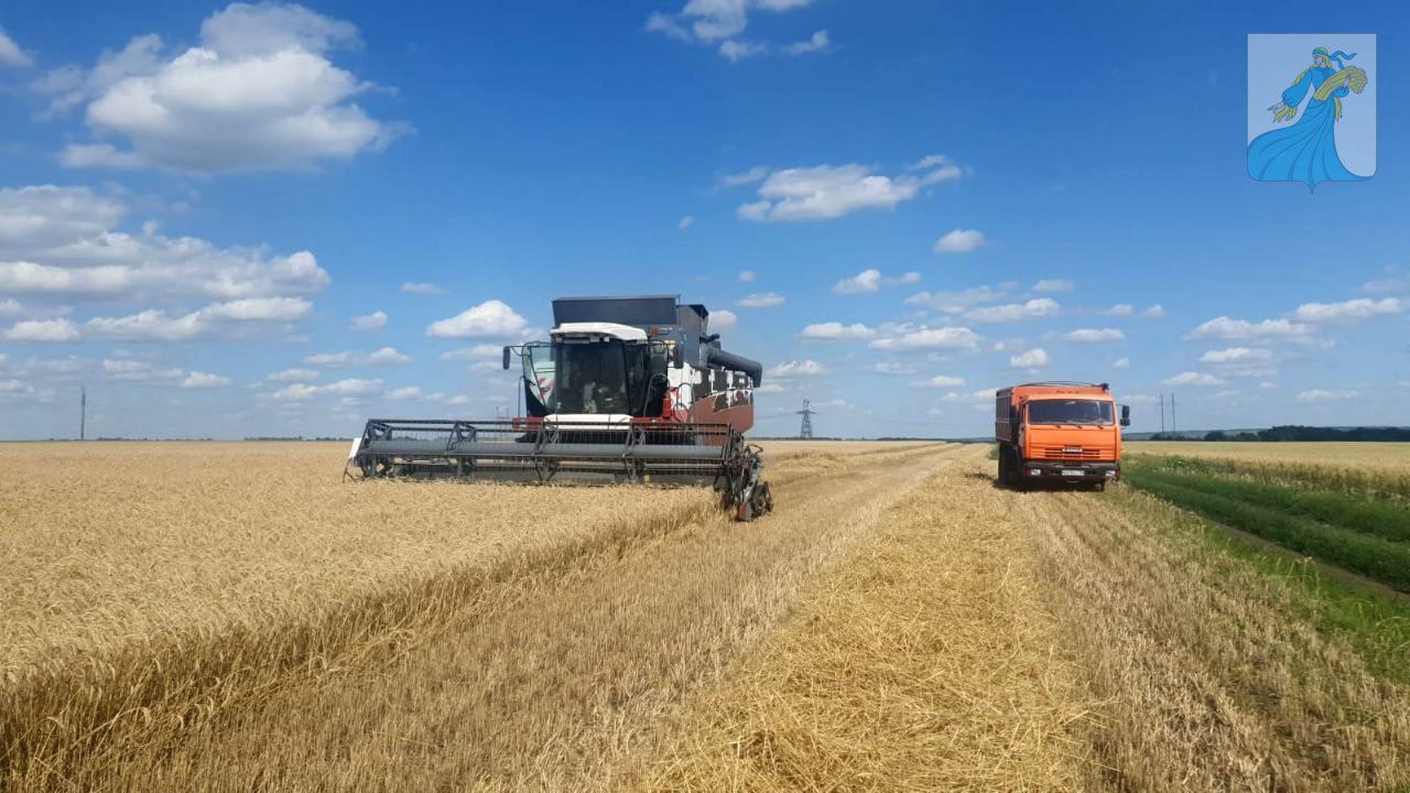 В НИЖНЕДЕВИЦКОМ РАЙОНЕ НАЧАЛИ УБОРКУ УРОЖАЯ.